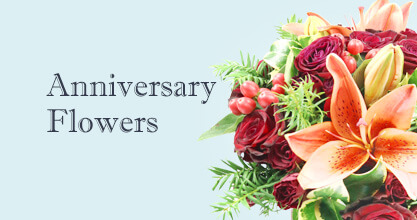 Anniversary Flowers Bayswater